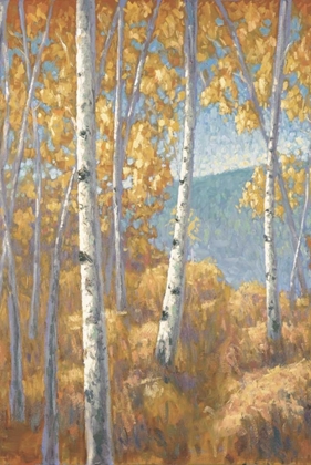 Picture of ASPEN FOREST I