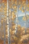 Picture of ASPEN FOREST I