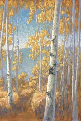 Picture of ASPEN FOREST II