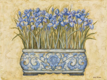 Picture of BLUE IRISES