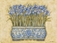 Picture of BLUE IRISES