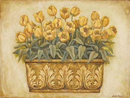 Picture of YELLOW TULIPS