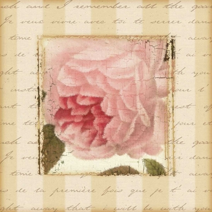 Picture of ROSE AND ROMANCE II