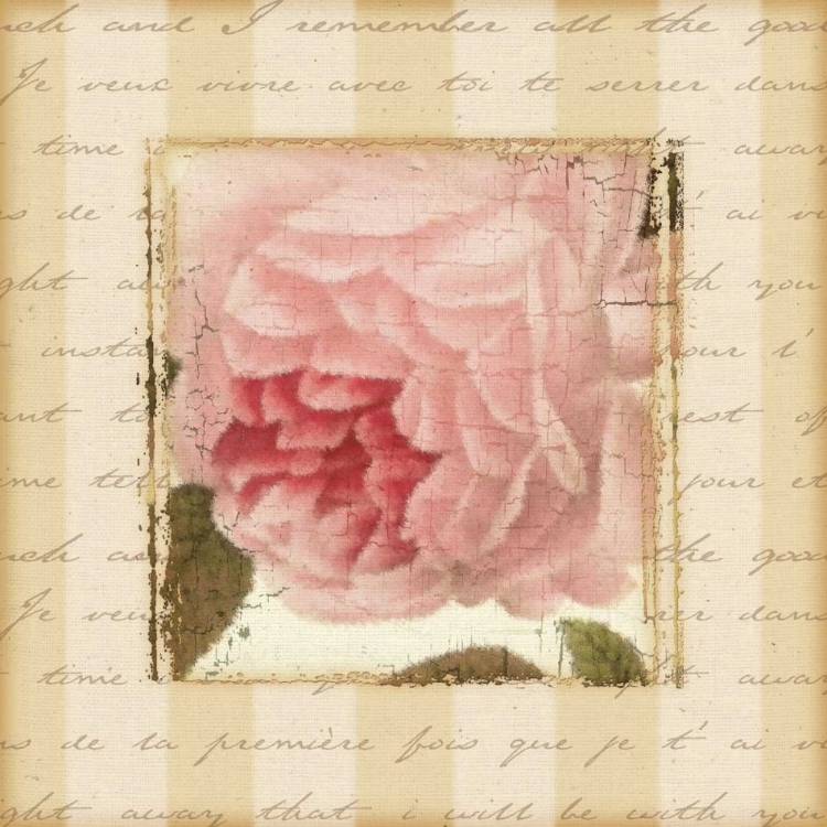 Picture of ROSE AND ROMANCE II