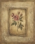 Picture of SAVIN ROSE