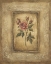Picture of GRAND SAVIN ROSE