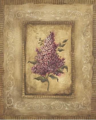 Picture of GRAND SAVIN LILAC