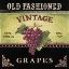 Picture of VINTAGE GRAPES
