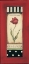 Picture of BELGIAN TULIP II