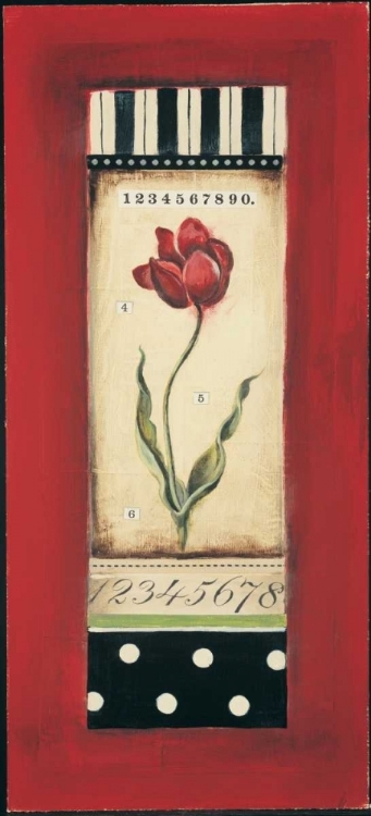 Picture of BELGIAN TULIP II