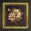 Picture of MAGNOLIA I