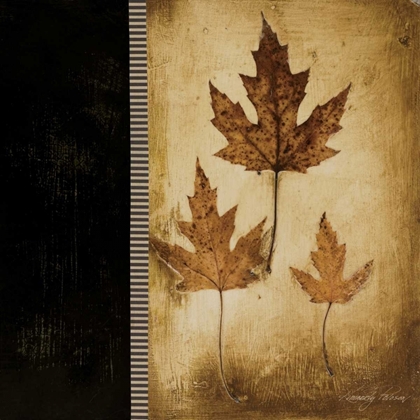Picture of MAPLE LEAVES III
