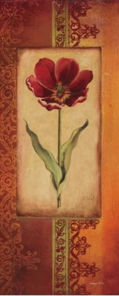 Picture of MEDITERRANEAN TULIP I