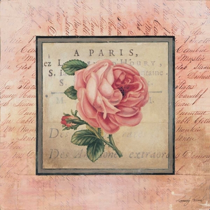 Picture of BLOOMING PARIS I