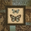 Picture of BUTTERFLY GARDEN II