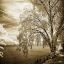 Picture of HOPEWELL SHORES II