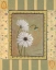 Picture of DAISIES
