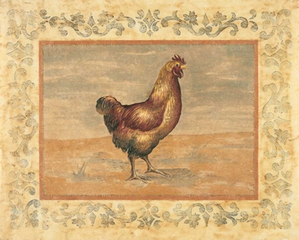 Picture of HEN