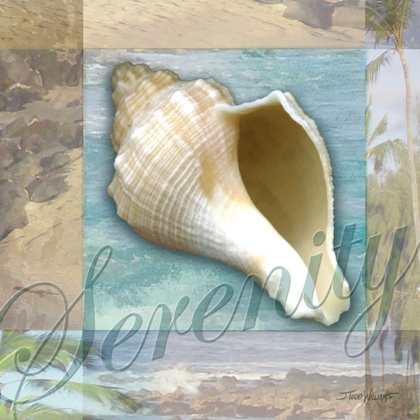 Picture of SERENITY SHELL