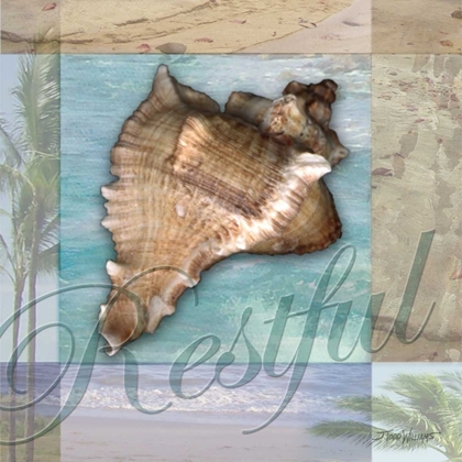 Picture of RESTFUL SHELL
