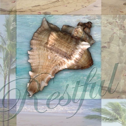 Picture of RESTFUL SHELL