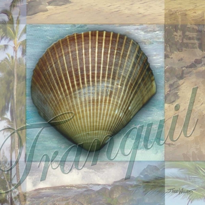 Picture of TRANQUIL SHELL
