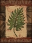 Picture of TROPICAL LEAF II