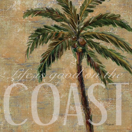 Picture of COASTAL PALM