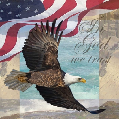 Picture of FREEDOM I