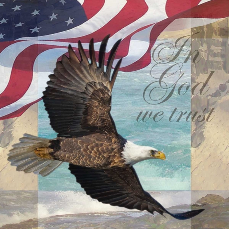 Picture of FREEDOM I