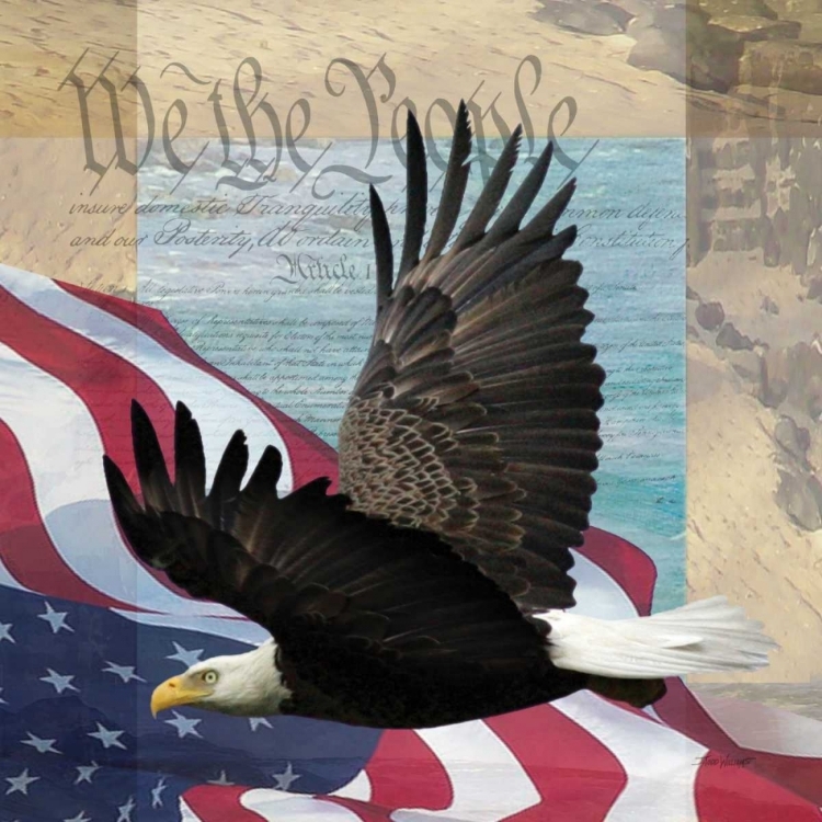 Picture of FREEDOM II