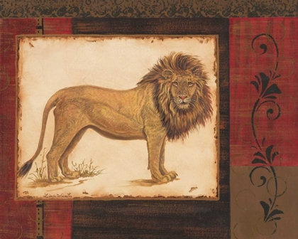 Picture of SAVANNA LION