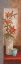 Picture of SPICED JEWELS I