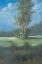 Picture of AZURE SKY II