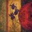 Picture of IRIS FUSION I