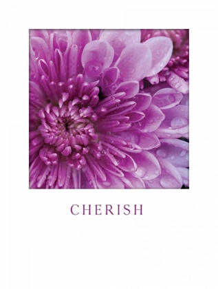 Picture of CHERISH