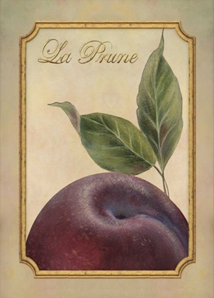 Picture of LA PRUNE