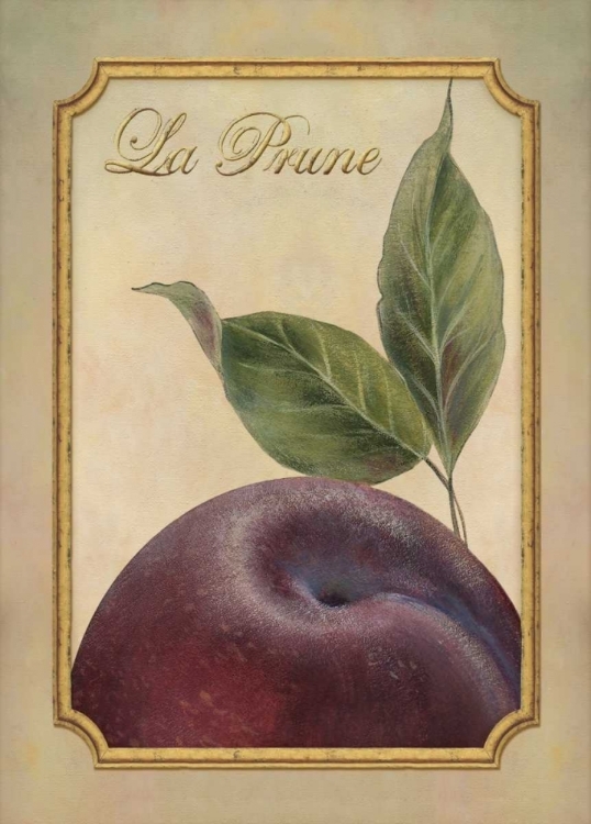 Picture of LA PRUNE