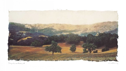 Picture of VINEYARD AND OAK II
