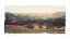 Picture of VINEYARD AND OAK II