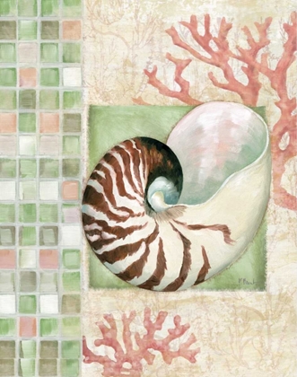 Picture of MOSAIC SHELL COLLAGE I