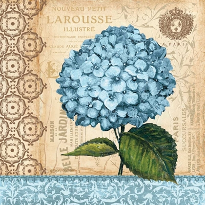 Picture of HYDRANGEA