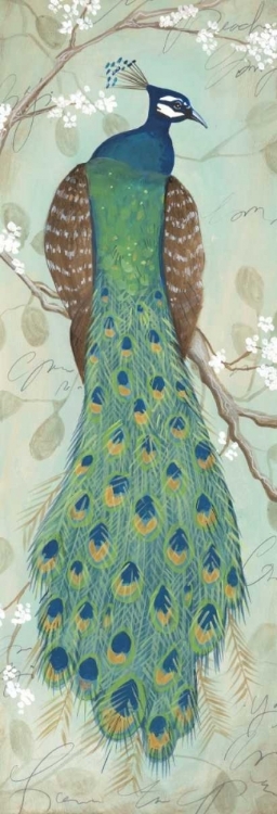 Picture of PEACOCK I