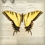 Picture of BUTTERFLIES SCRIPT V