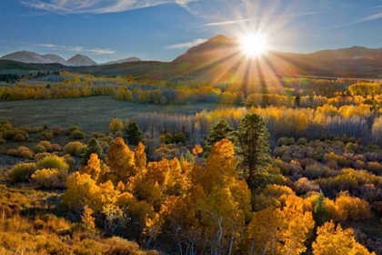 Picture of EASTERN SIERRA I