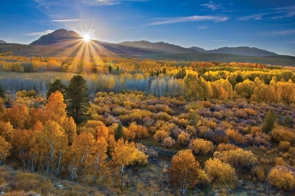 Picture of EASTERN SIERRA II