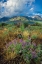 Picture of EASTERN SIERRA III