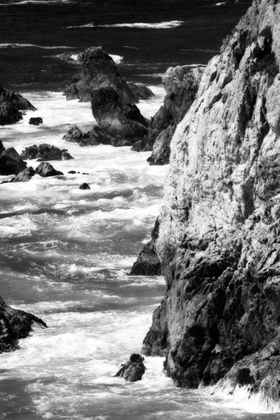 Picture of GARRAPATA HIGHLANDS 7 BW