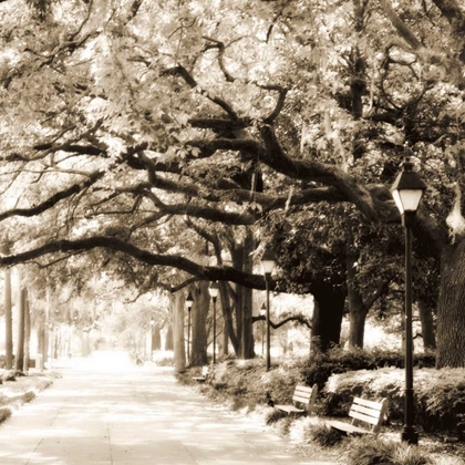 Picture of SAVANNAH SEPIA SQ I