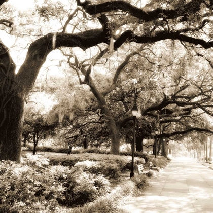 Picture of SAVANNAH SEPIA SQ II